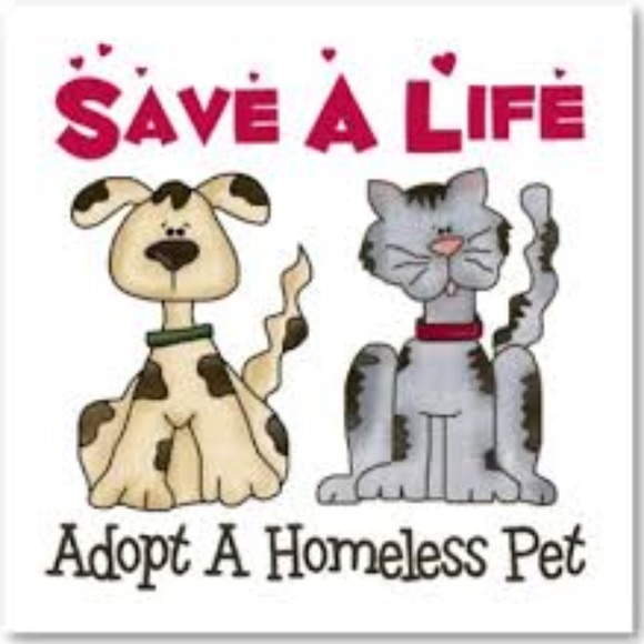 PET FRIENDLY HOME - Picture 1 of 1
